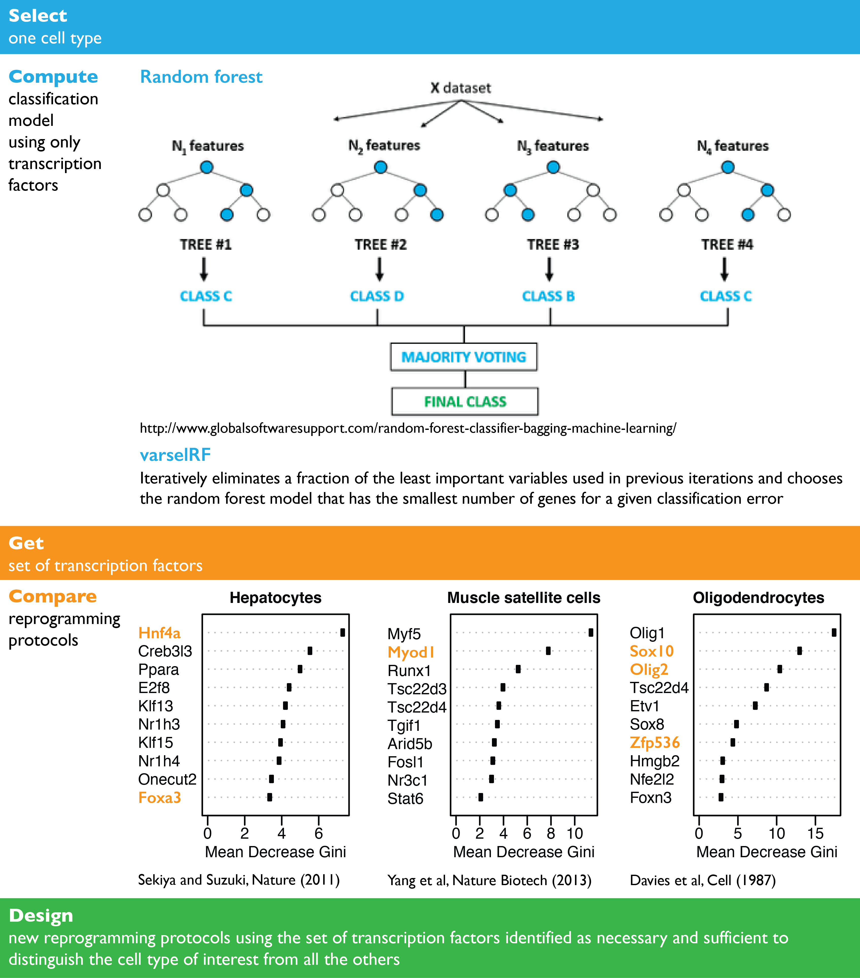 Random forest model using transcription factors